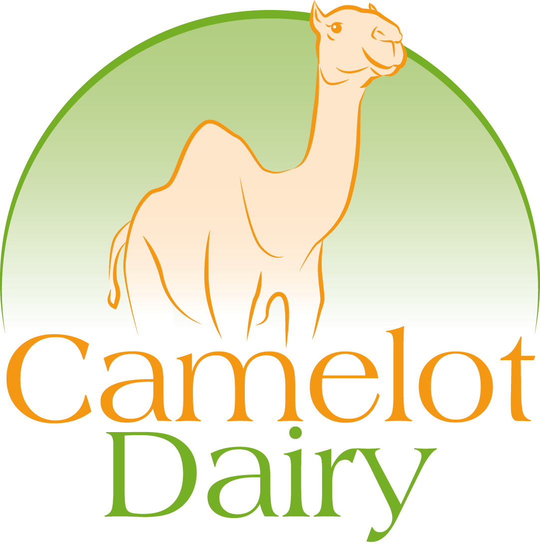 Camelot Dairy logo featuring a stylized camel in an orange outline against a gradient green and white background, with the brand name "Camelot Dairy" prominently displayed in orange and green lettering.